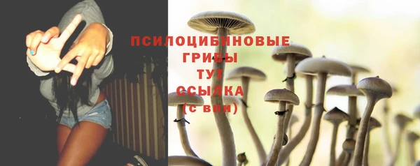 бошки Алексеевка