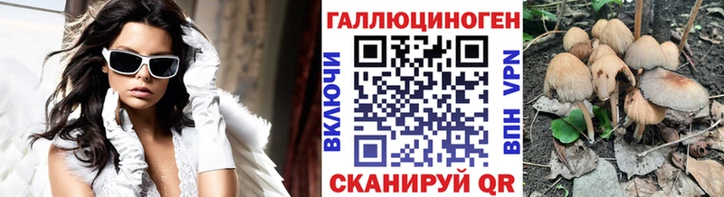 Псилоцибиновые грибы мицелий Пушкино